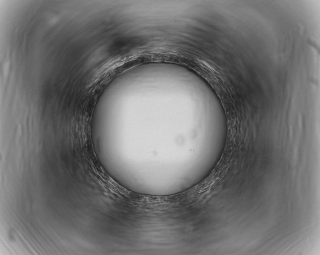 X0000096960774200802080859