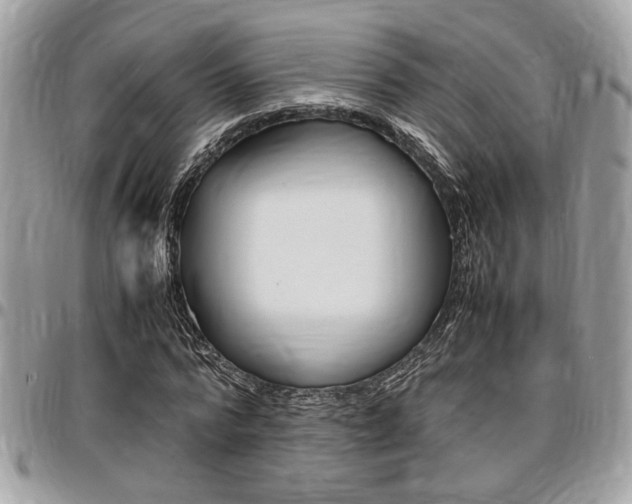 X0000096960776200802080859