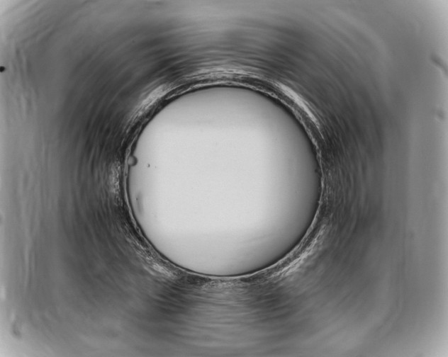 X0000096960778200802080859
