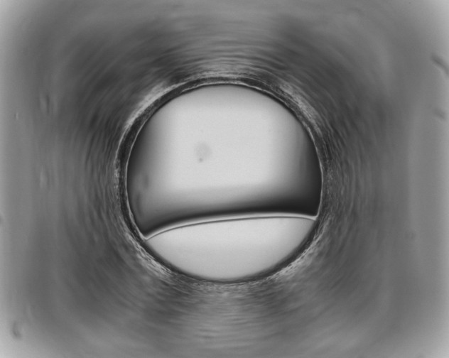 X0000096960779200802080859