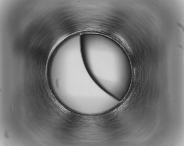 X0000096960780200802080859