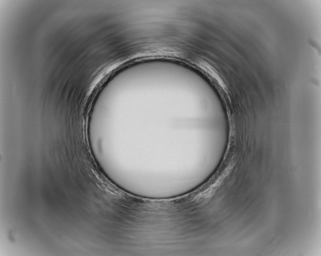 X0000096960781200802080859