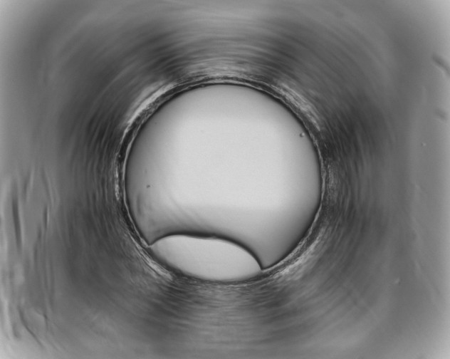 X0000096960782200802080859