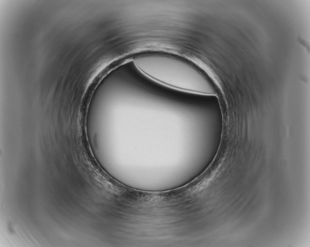 X0000096960783200802080859