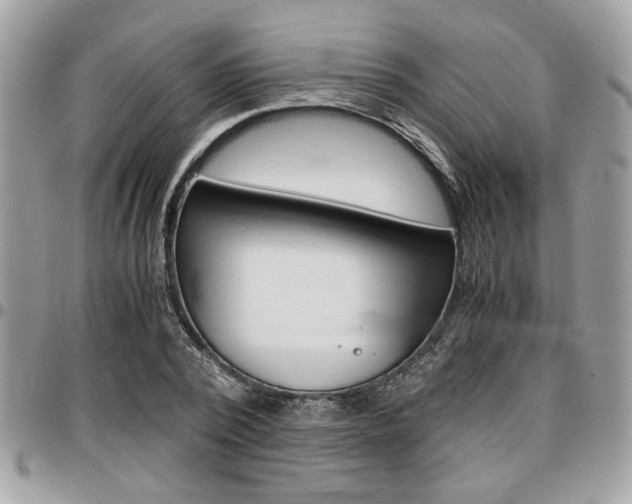 X0000096960784200802080859