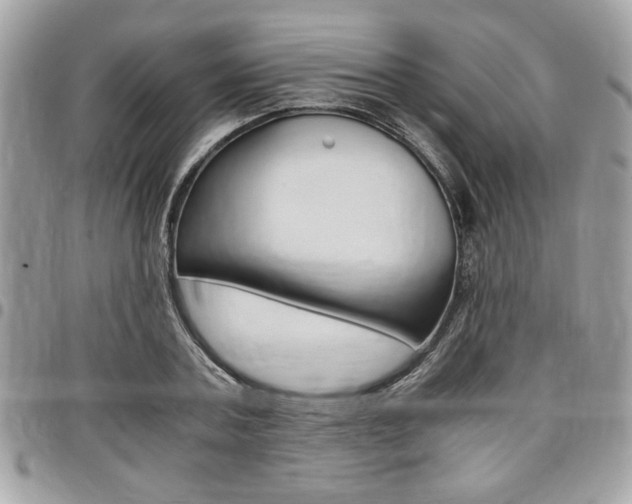 X0000096960787200802080859