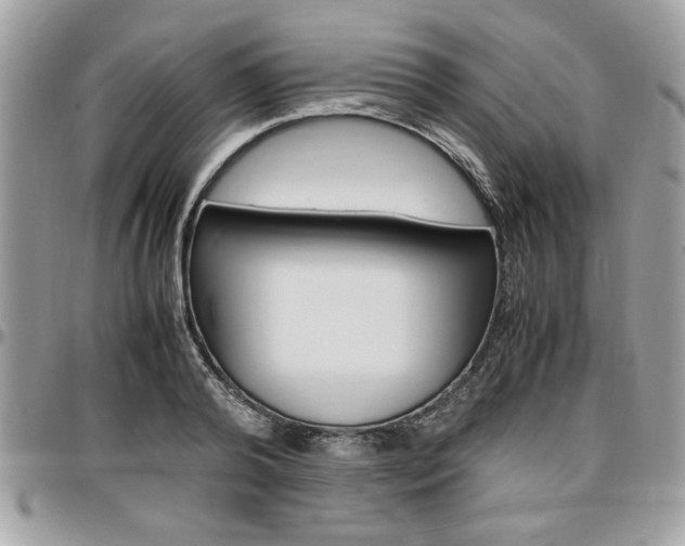 X0000096960792200802080859