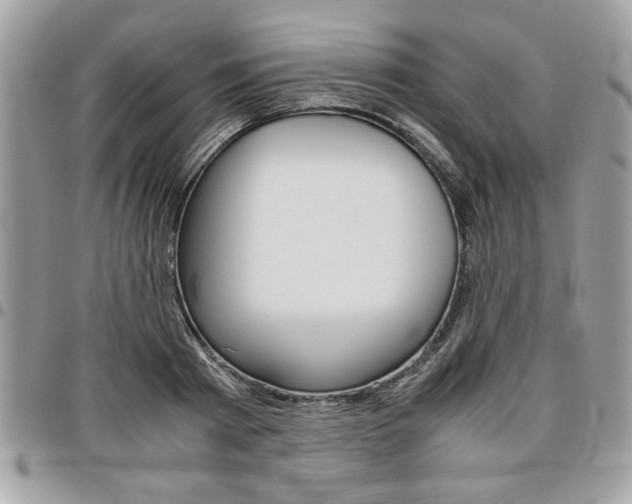 X0000096960793200802080858