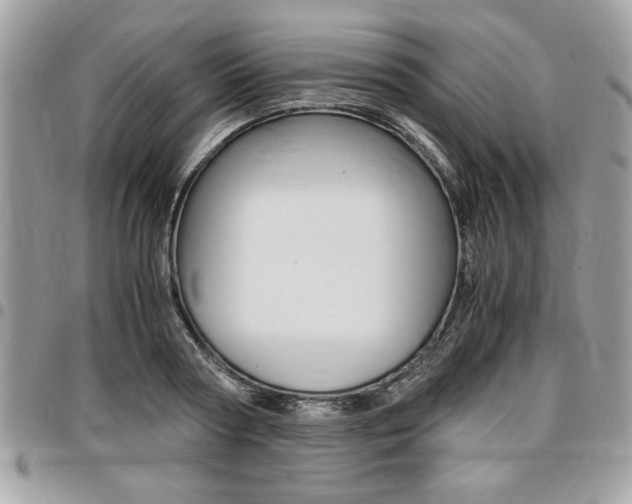 X0000096960794200802080858