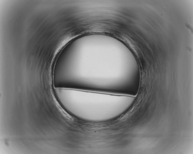 X0000096960795200802080858