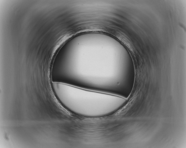 X0000096960797200802080858