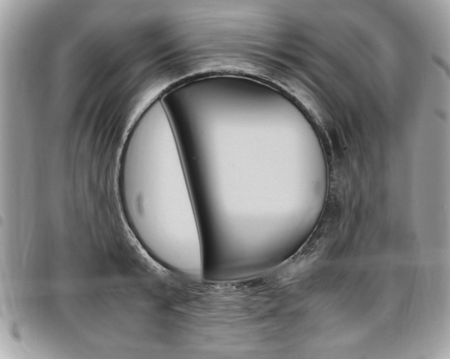 X0000096960799200802080858