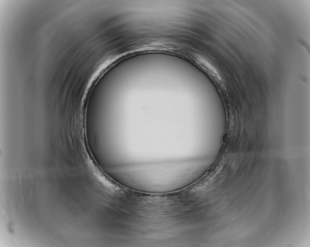 X0000096960800200802080858