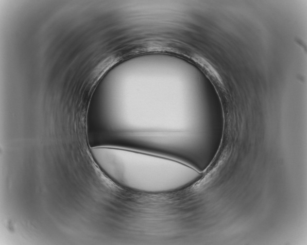 X0000096960801200802080858