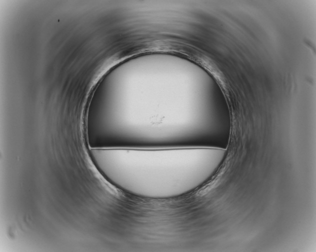 X0000096960803200802080858