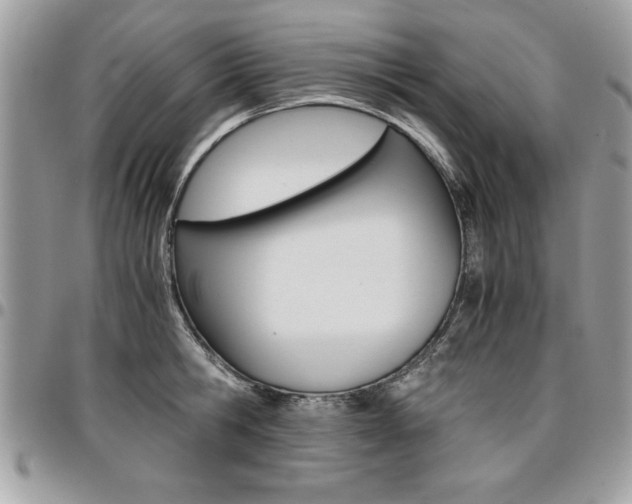 X0000096960806200802080858