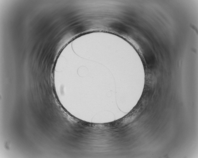 X0000096960807200802080858