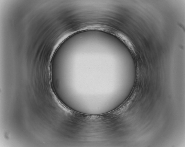 X0000096960808200802080858