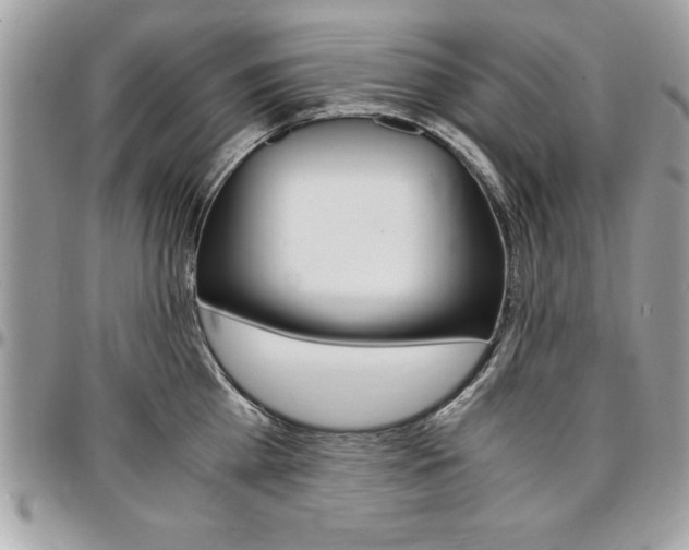 X0000096960809200802080858