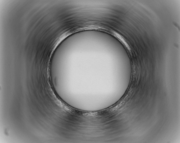 X0000096960810200802080858