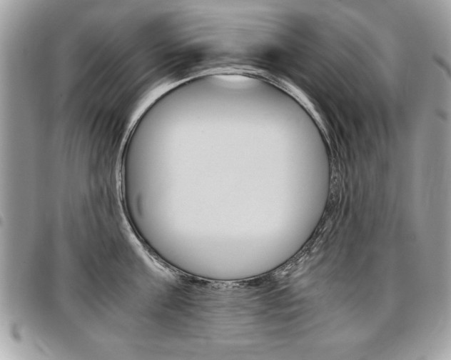 X0000096960811200802080858