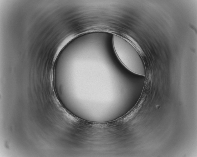 X0000096960812200802080858