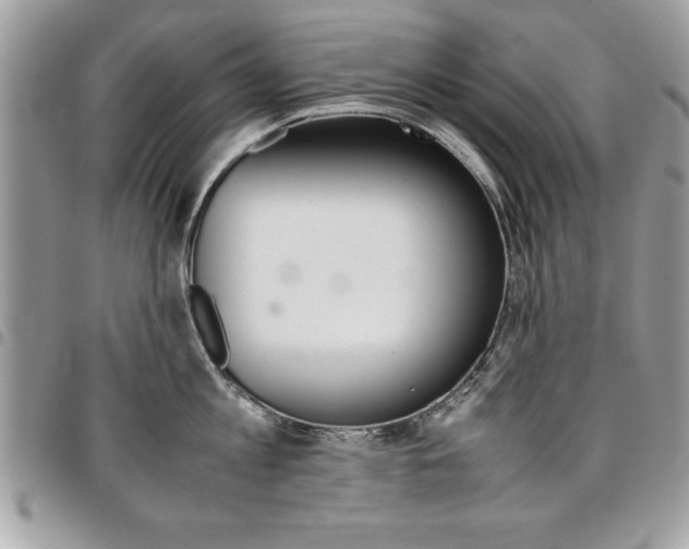 X0000096960813200802080858