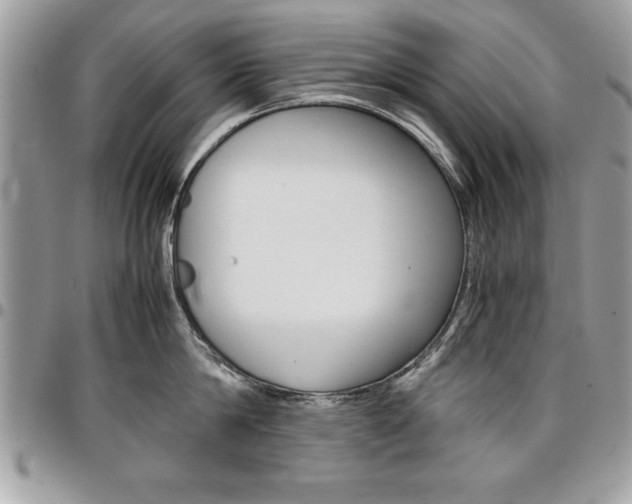 X0000096960814200802080858