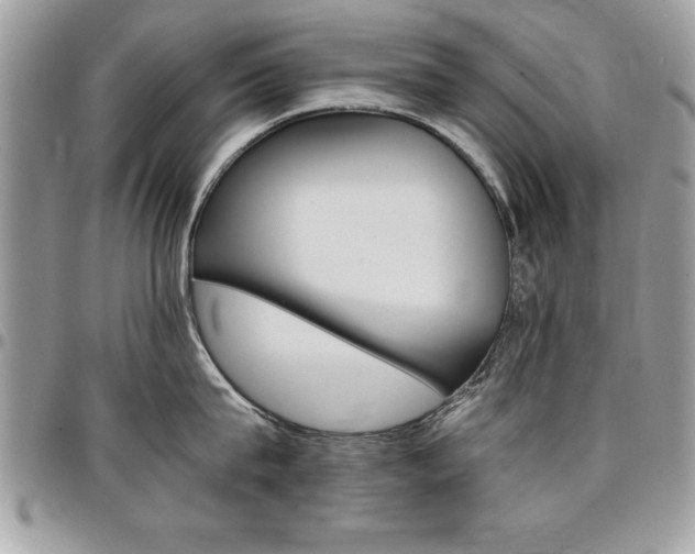 X0000096960815200802080858