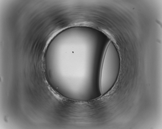 X0000096960816200802080858