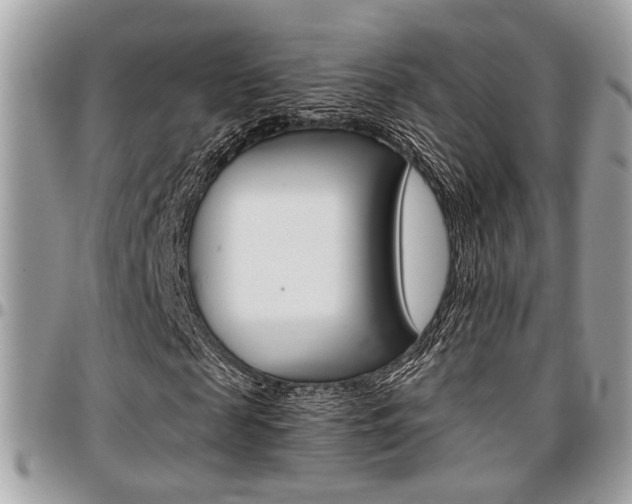 X0000096960817200802080857