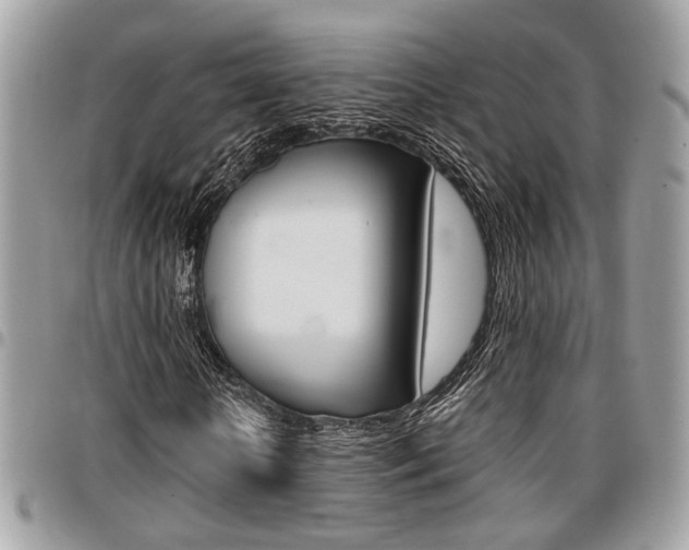 X0000096960818200802080857