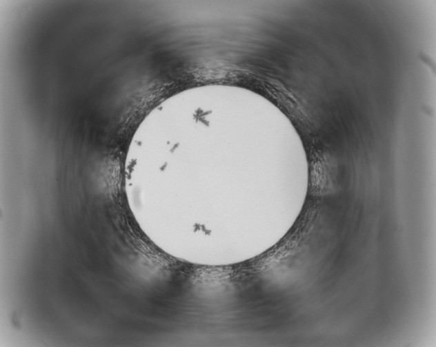X0000096960820200802080857