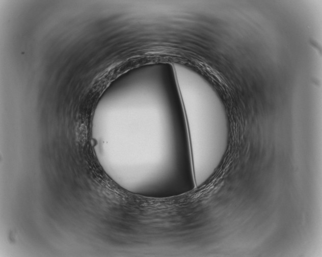 X0000096960821200802080857