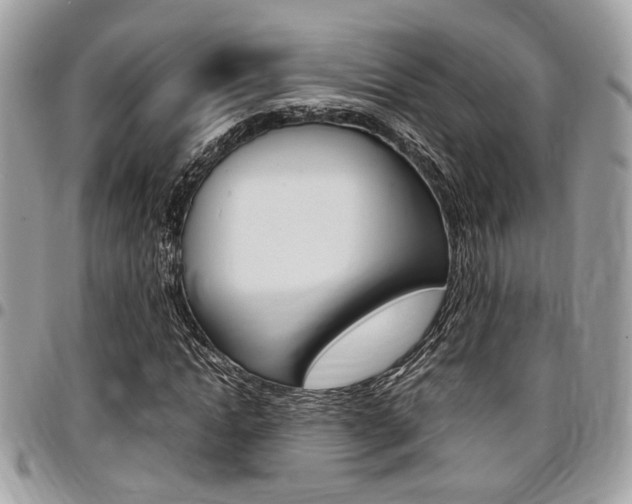 X0000096960822200802080857