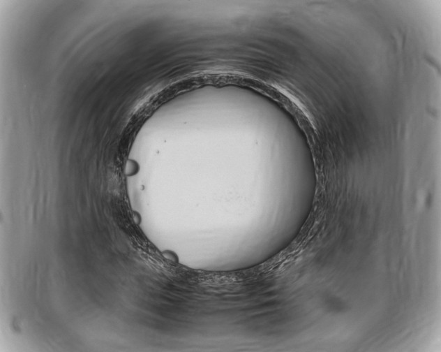X0000096960823200802080857