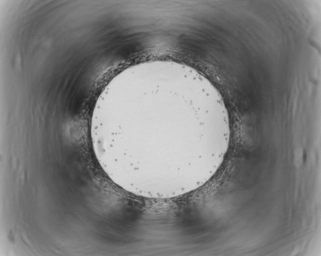 X0000096960824200802080857
