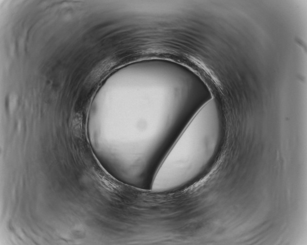 X0000096960825200802080857