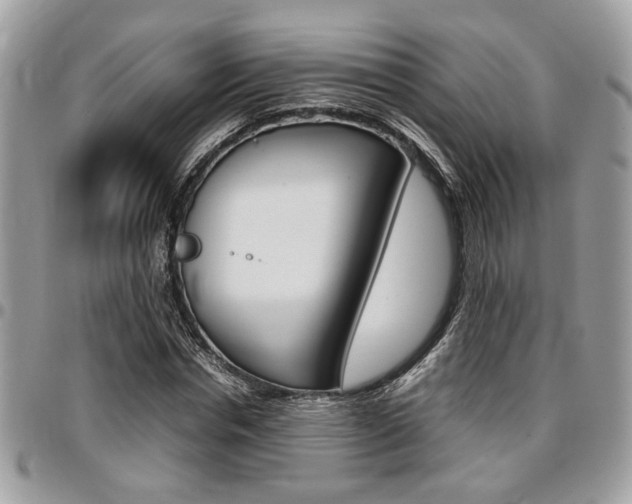 X0000096960826200802080857