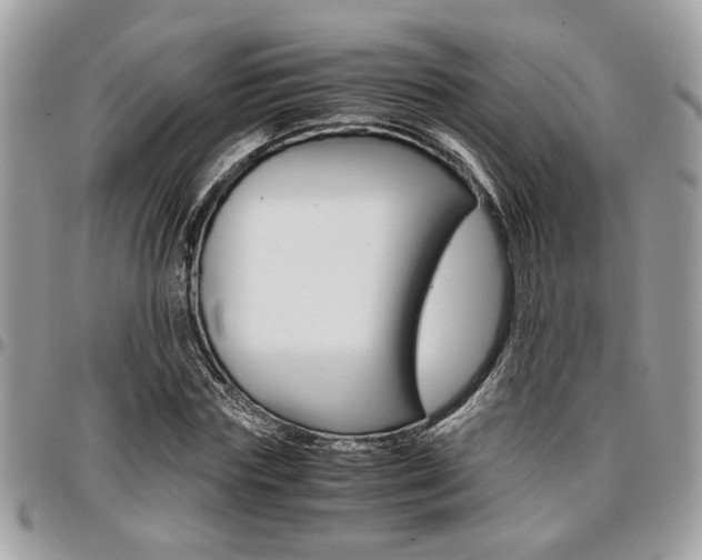 X0000096960827200802080857