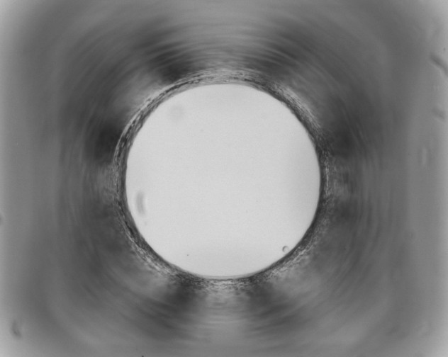 X0000096960828200802080858