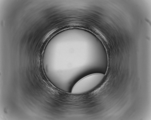 X0000096960829200802080858