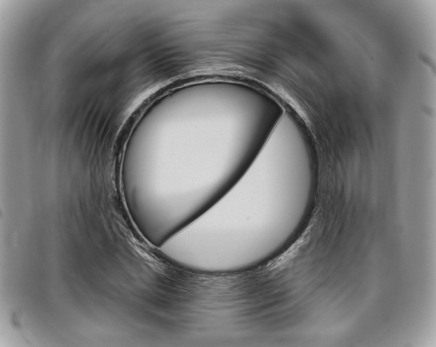 X0000096960830200802080858