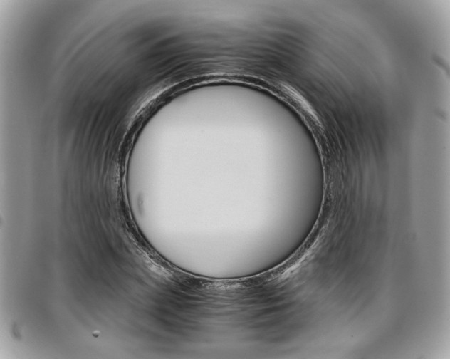 X0000096960831200802080858
