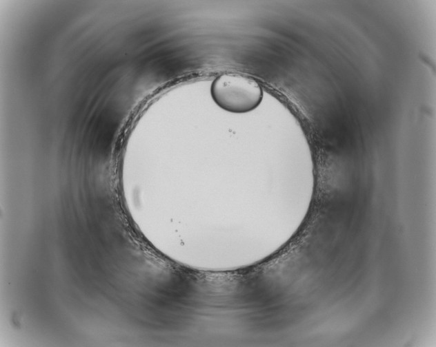 X0000096960832200802080858