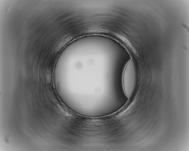 X0000096960833200802080858