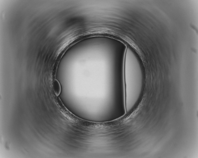 X0000096960834200802080858