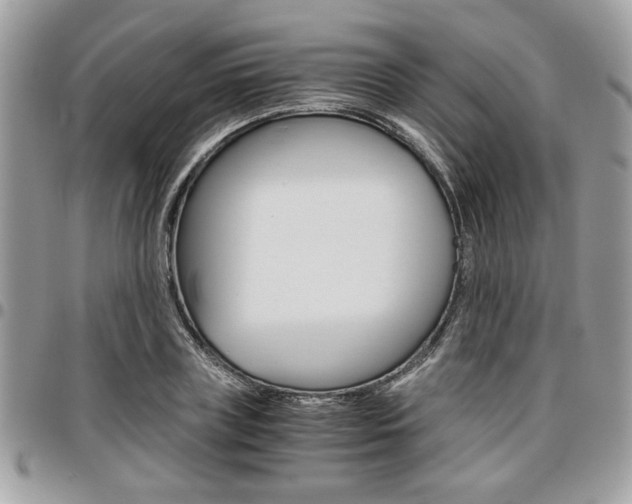 X0000096960835200802080858