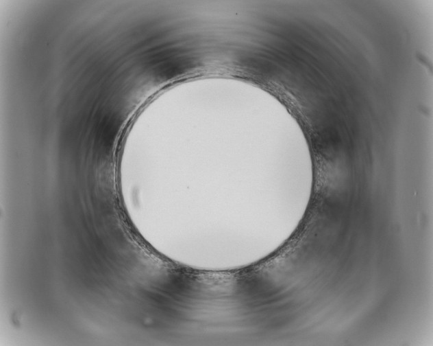 X0000096960836200802080858
