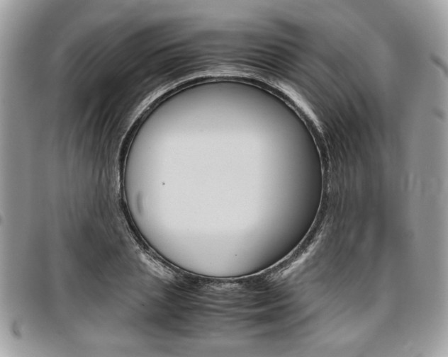 X0000096960837200802080858